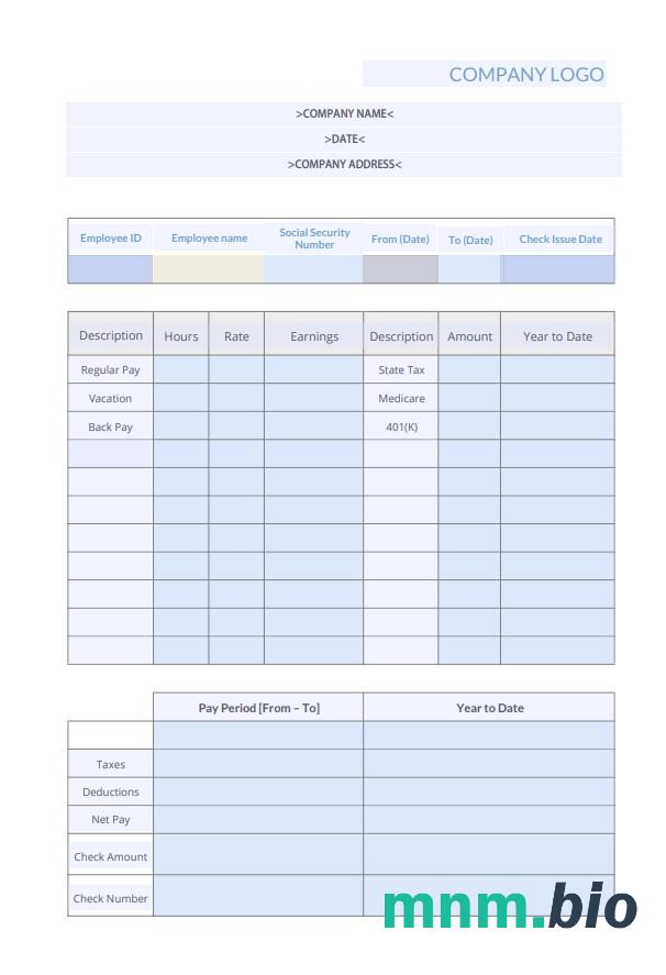 Packing Pay Stub Template